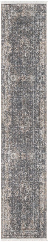 2' 7 x 13' Osmond · Border rug
