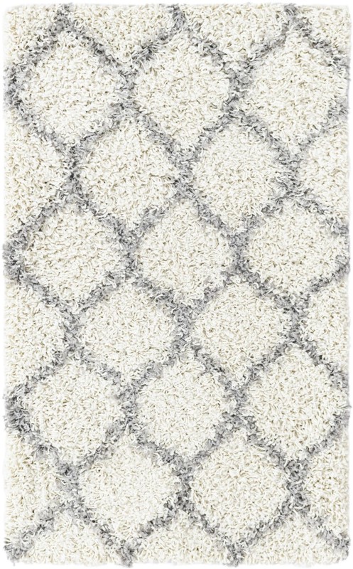 2' x 3' Barnett · Lattice Shag Rug, ivory
