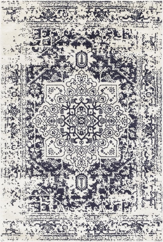 6' x 9' Birch · Distressed medallion rug, blue and ivory