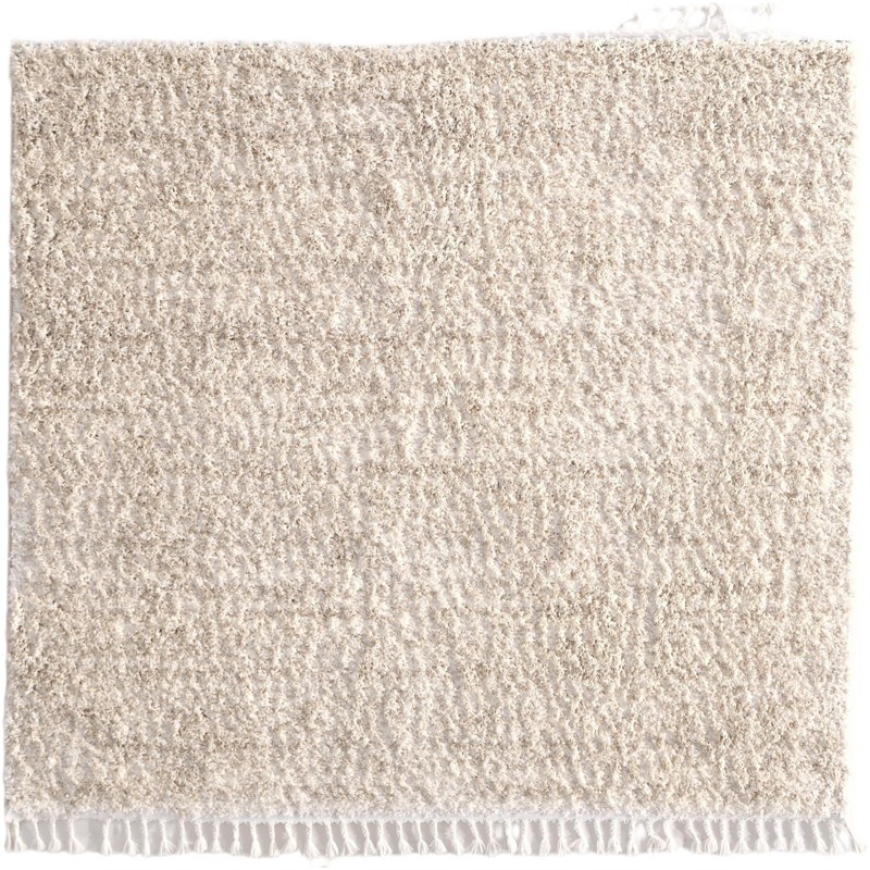 Shapley · Solid shag rug, ivory