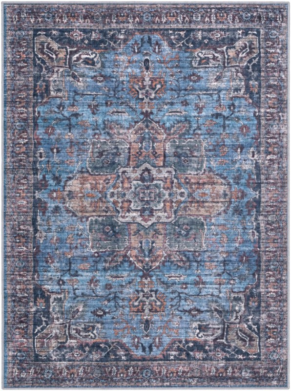 5' 3 x 7' Roarke · Distressed medallion rug, blue and rust