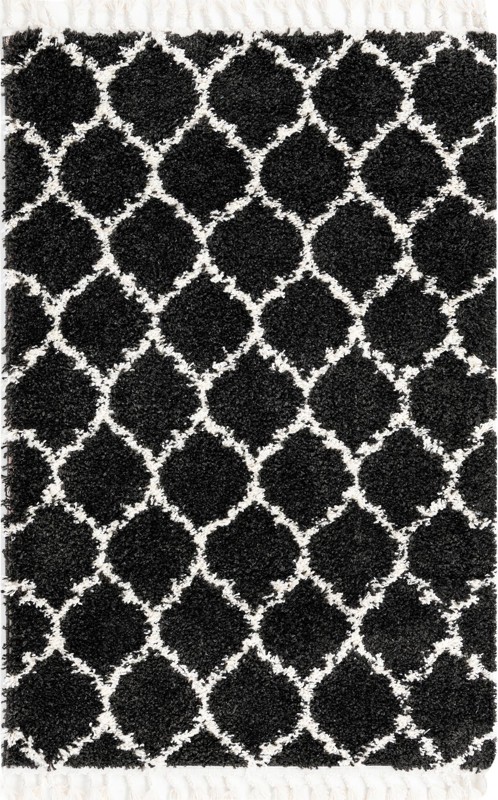 4' x 6' Everett · Lattice shag rug, black and white