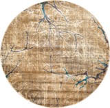 Color variant
