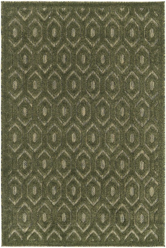 4' x 6' Roanoke · Geometric lattice Outdoor Rug, olive and taupe