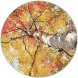 Color variant