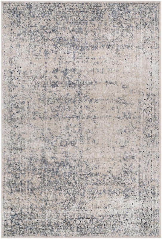 4' x 6' Doyle · Distressed traditional rug, beige and blue