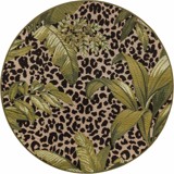 Color variant