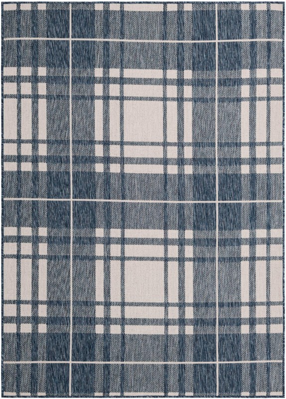 5' 3 x 7' Maguire · Plaid Outdoor Rug, blue