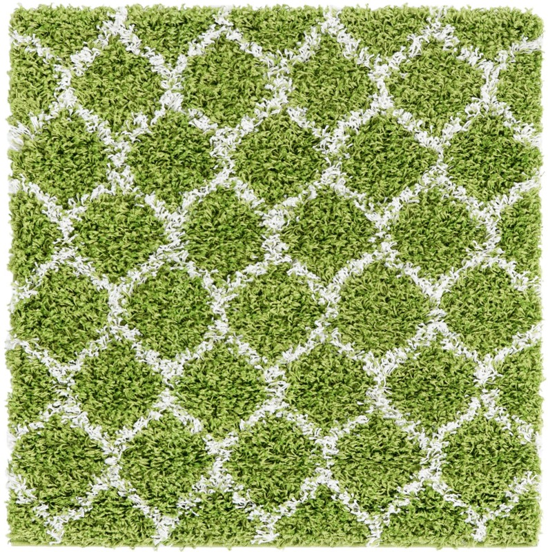 3' 3 x 3' 3 Barnett · Lattice Shag Rug, green