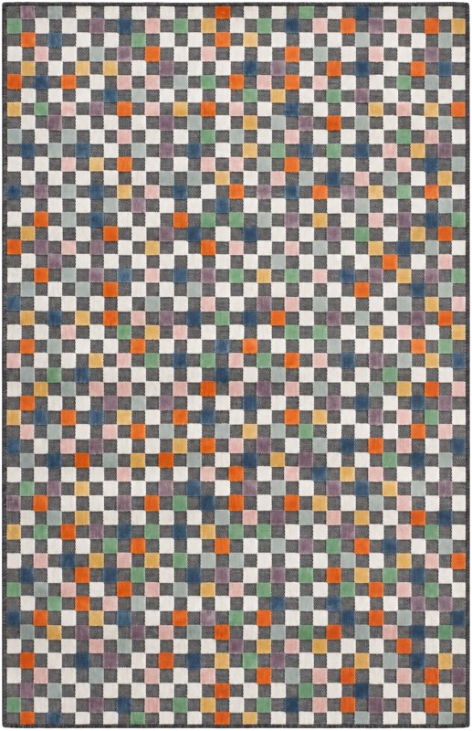 Carmichael · Checkered Outdoor Rug, multi