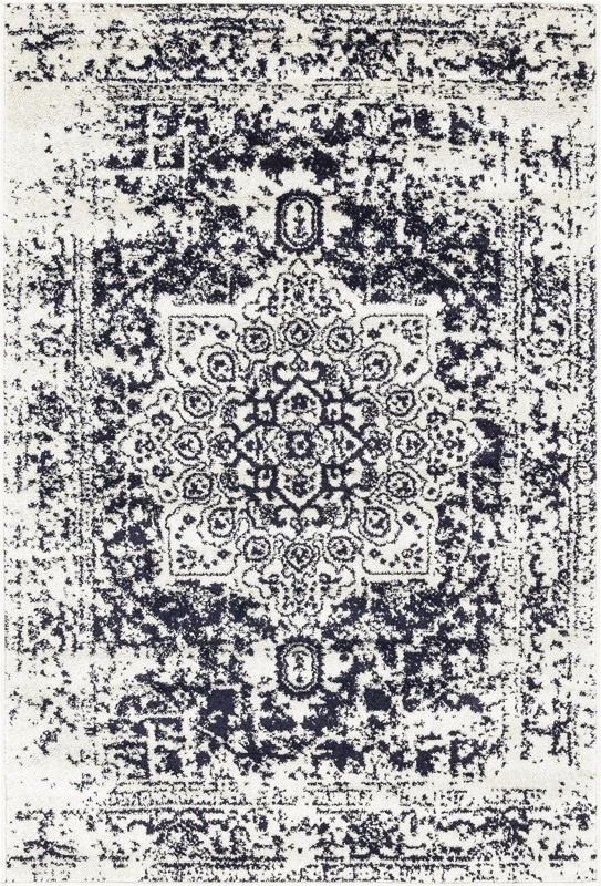 4' x 6' Birch · Distressed medallion rug, blue and ivory