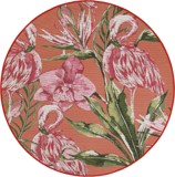 Color variant