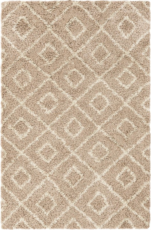 5' 3 x 8' Brock · Diamond Shag Rug