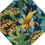 Color variant