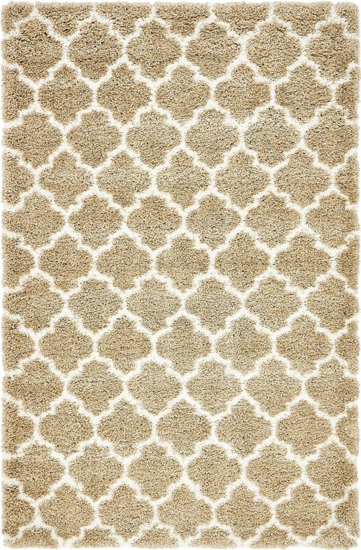 5' x 8' Jameson · Trellis Shag Rug
