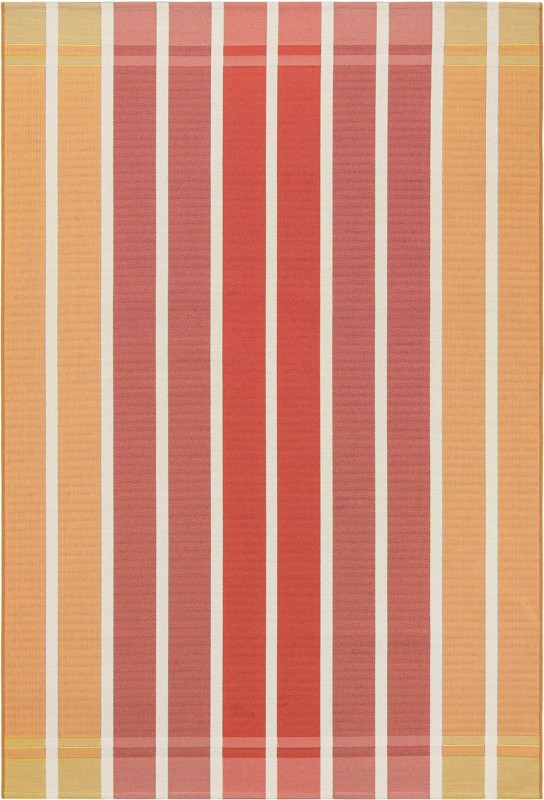 5' 3 x 8' Lomax · Border Outdoor Rug
