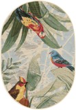 Color variant