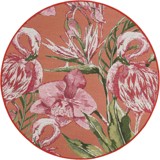 Color variant