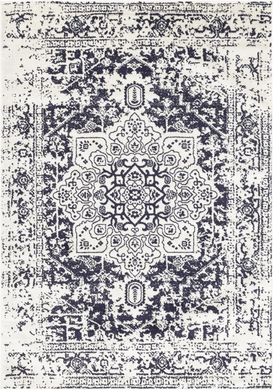 7' x 10' Birch · Distressed medallion rug, blue and ivory