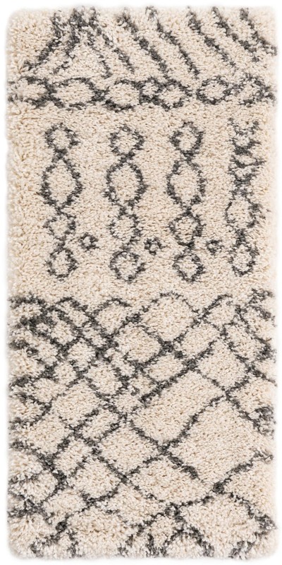 2' x 4' Jameson · Geometric Shag Rug