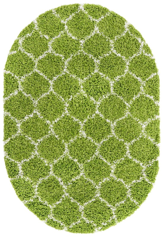 4' x 6' Barnett · Lattice Shag Rug, green