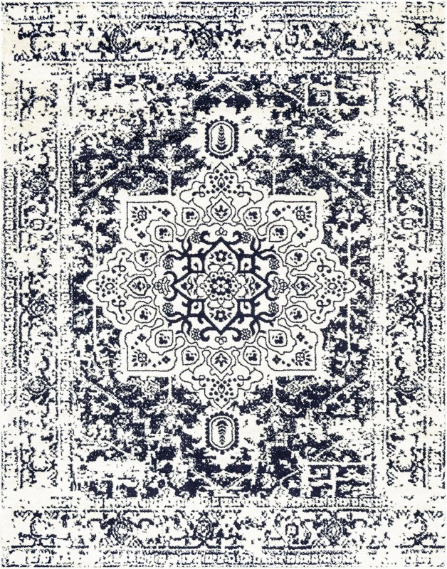 7' 10 x 10' Birch · Distressed medallion rug, blue and ivory