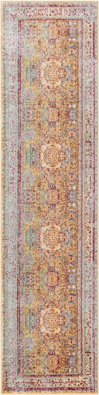 2' x 8' Delmar · Border rug
