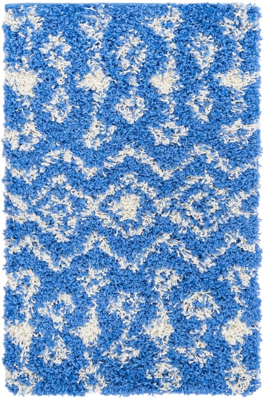 2' x 3' Bayley · Diamond Shag Rug