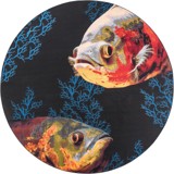 Color variant