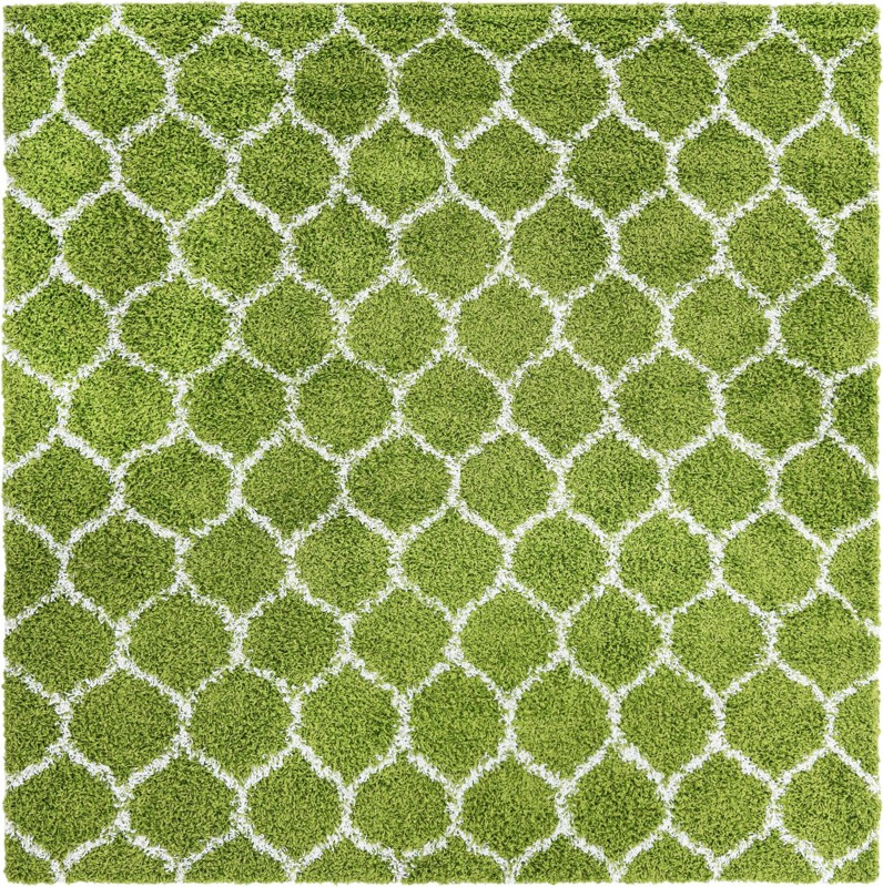 7' 10 x 7' 10 Barnett · Lattice Shag Rug, green
