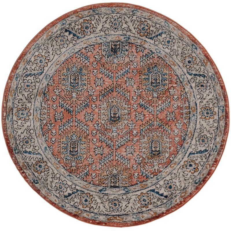 5' 3 x 5' 3 Bozeman · Medallion rug