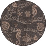 Color variant