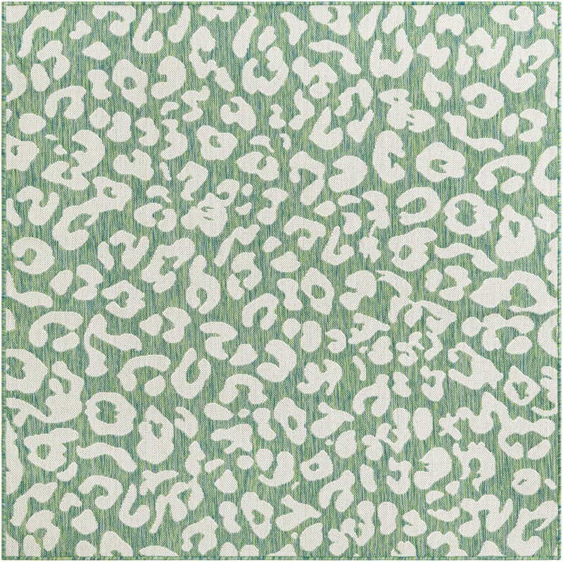 5' 3 x 5' 3 Cardamom · Animal print Outdoor Rug