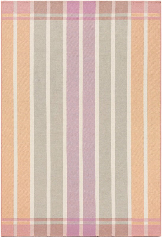 5' 3 x 8' Lomax · Border Outdoor Rug