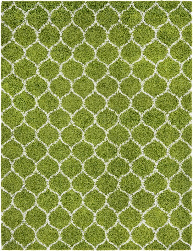 10' x 13' Barnett · Lattice Shag Rug, green