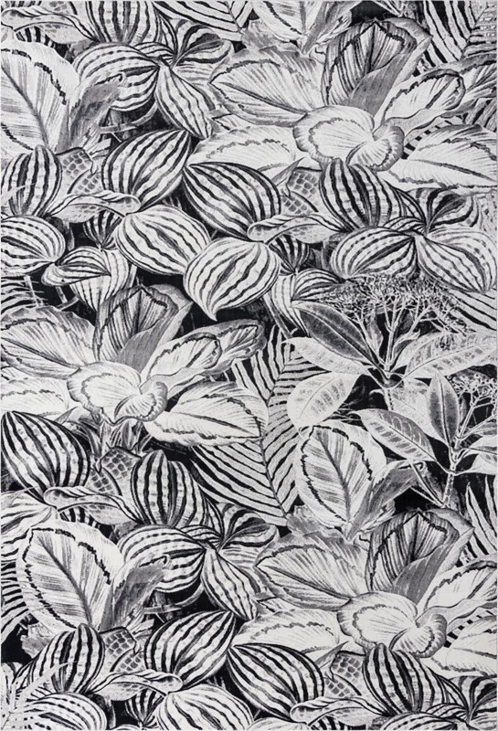 Herrick · Floral / botanical rug, charcoal