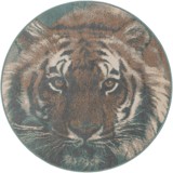 Color variant