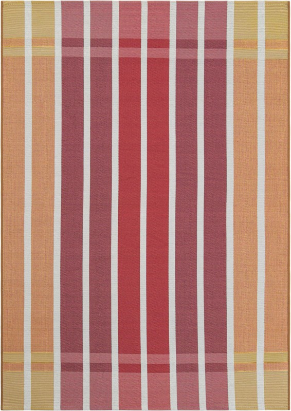 4' x 6' Lomax · Border Outdoor Rug