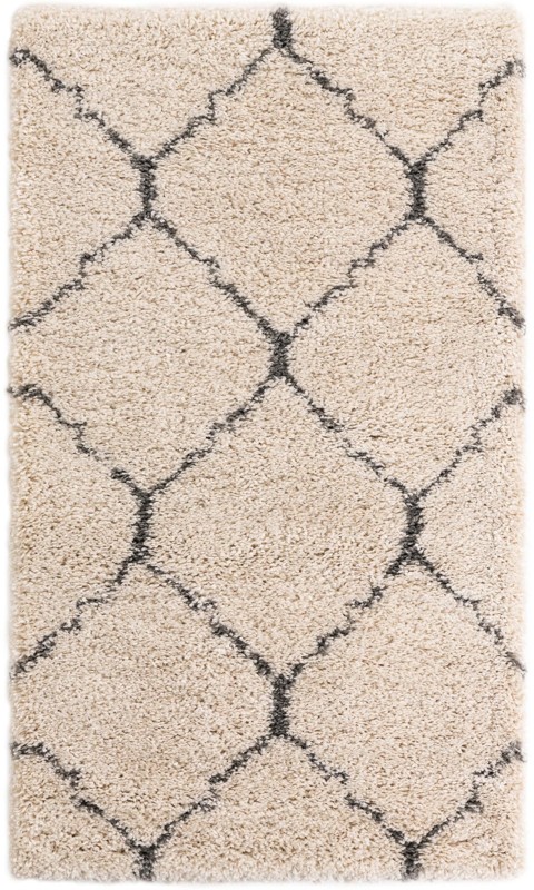 3' 3 x 5' 3 Jameson · Diamond trellis Shag Rug, ivory and gray