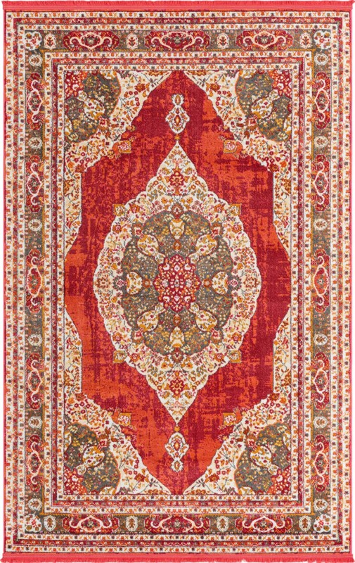 5' 5 x 8' Coburn · Border rug