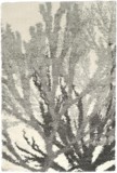 Color variant
