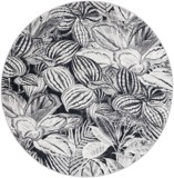 Color variant