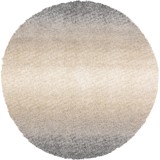 Color variant