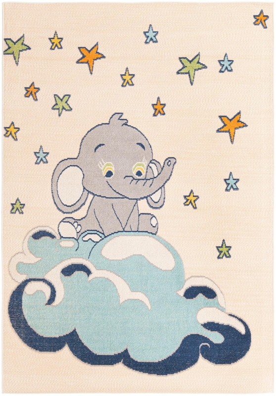 5' 3 x 7' 7 Easton · Pictoral Outdoor Rug