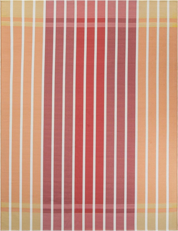 10' x 13' Lomax · Border Outdoor Rug
