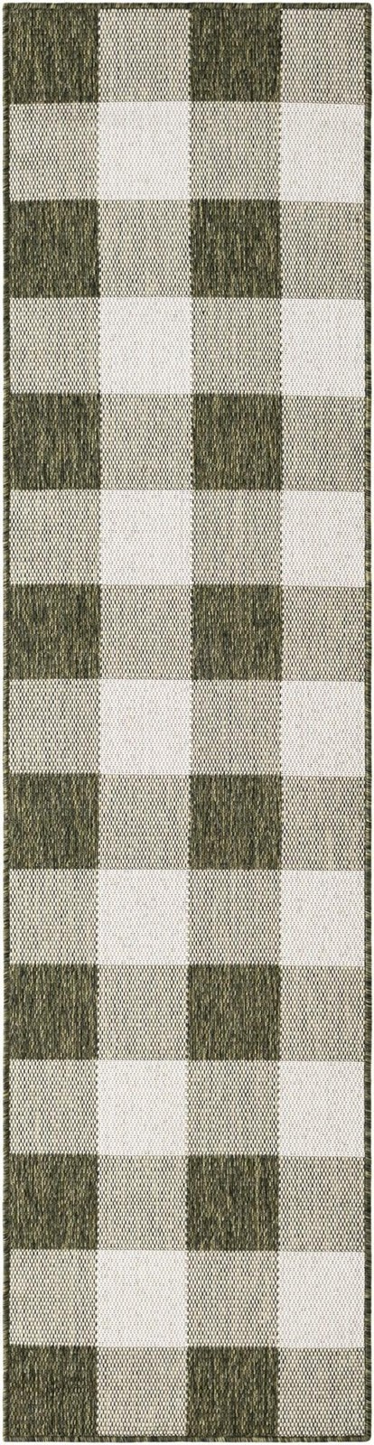 2' x 8' Ramona · Checkered Outdoor Rug, green and ivory