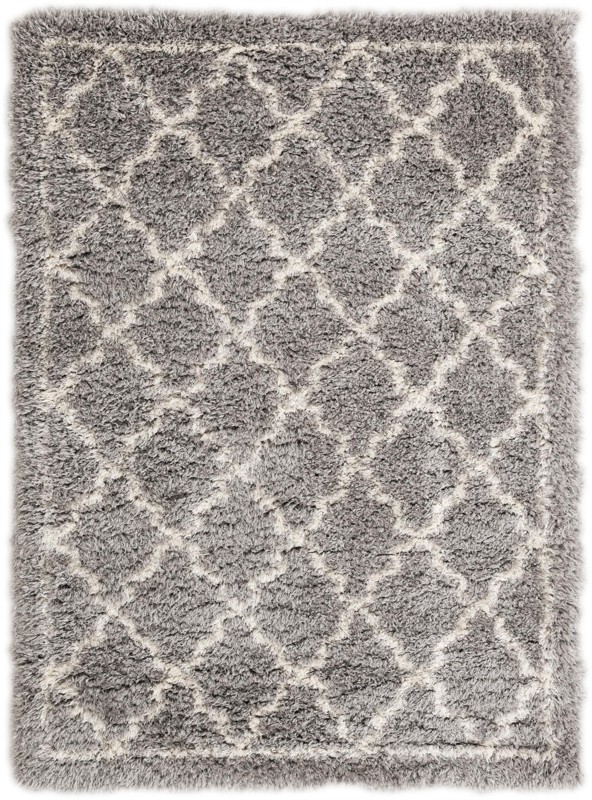 5' x 8' Kemble · Border Shag Rug, ash gray
