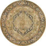 Color variant
