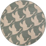 Color variant