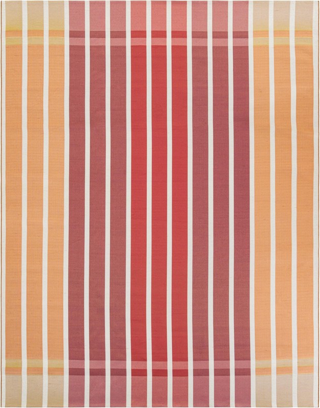 9' x 12' Lomax · Border Outdoor Rug